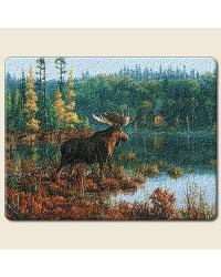 Black Bay Moose