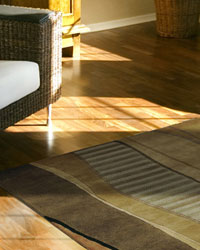 Area Rugs - Discount Area Rugs - Contemporary Area Rugs - Oriental Rugs - Persian Rugs - Rug Pads - Chair Mats - Bamboo Rugs