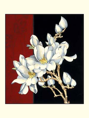 Framed art and prints in a variety of styles.