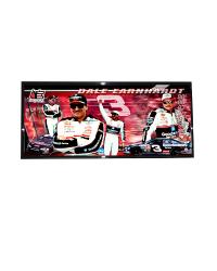 Dale Earnhardt Framed Panoramic