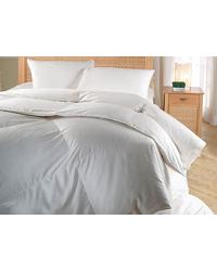 El Paso Comforter - White Duck Down White