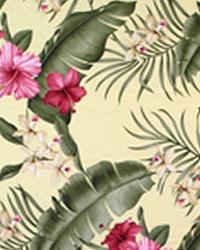 Hawaiian Fabric - Tropical Fabric - Hawaiian Print Fabric