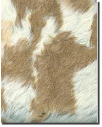 Funky 020 Funky Fur