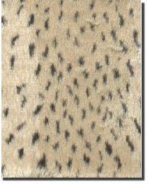 Leopard 070 Funky Fur