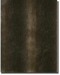 Visone 020 Funky Fur