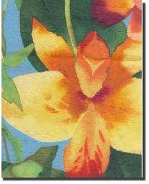 Large Print Floral