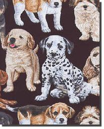 Cats and Dogs
