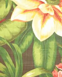 Hawaiian Fabric - Tropical Fabric - Hawaiian Print Fabric