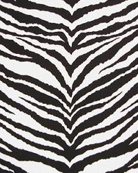 Black Premier Prints