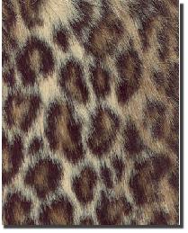 Shannon Fabric Fabric