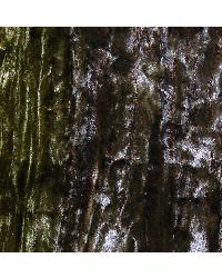 MMF-6006 A Samples