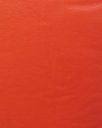 Kiki Ruby Red In Stock