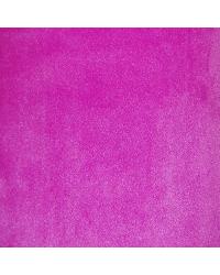 Soft Fur Solid Magenta Soft Fur Fabric