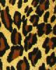 African Fabric