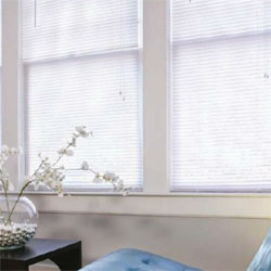 1" vinyl mini blinds