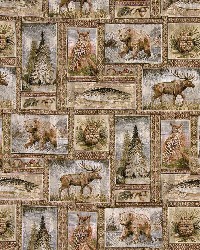 Themes Of Tapestry II Charlotte Fabrics